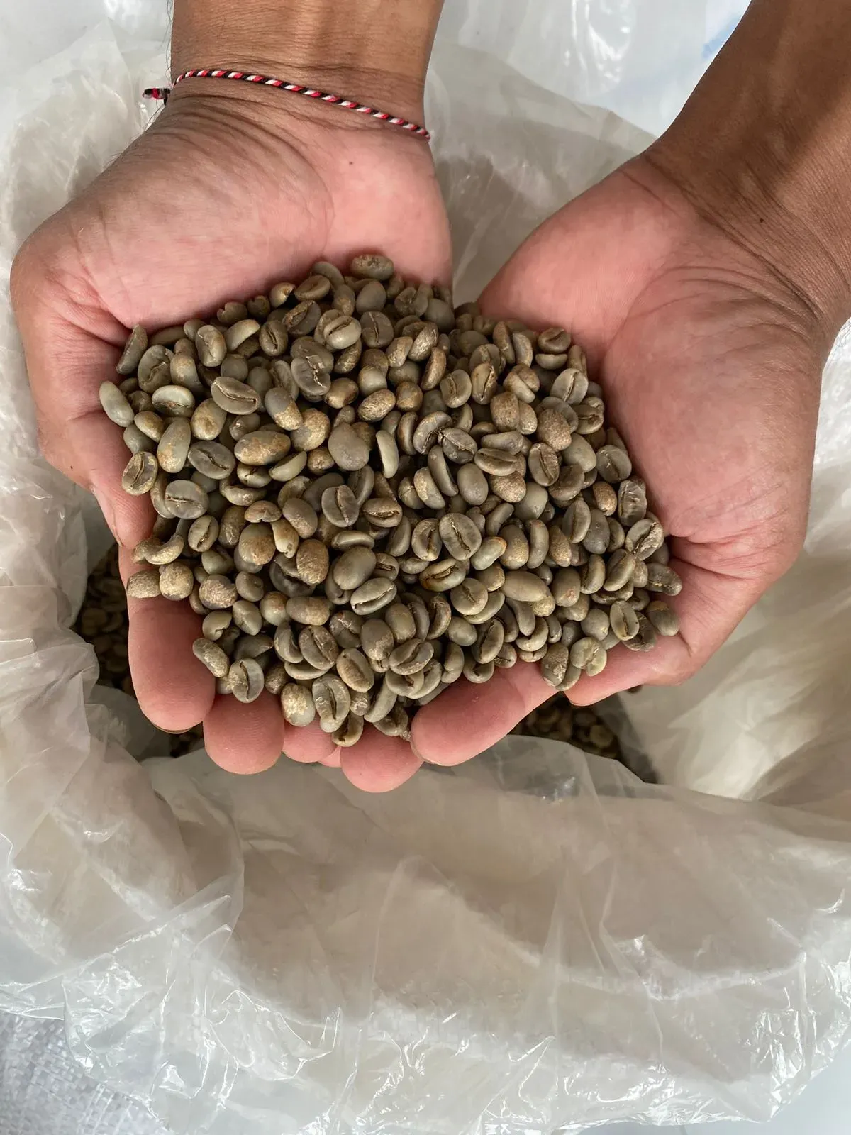 Kintamani Arabica Coffee