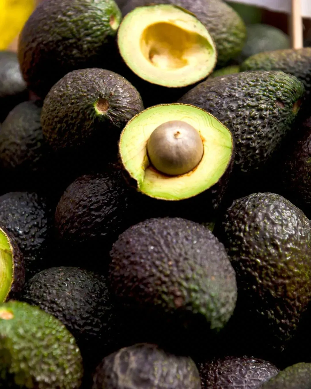 Hass Avocado (Grade A, B, C)